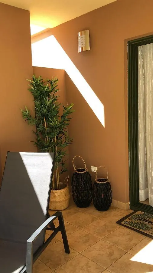 Apartamento Piso Jardines del Teide en el Puerto de la Cruz España