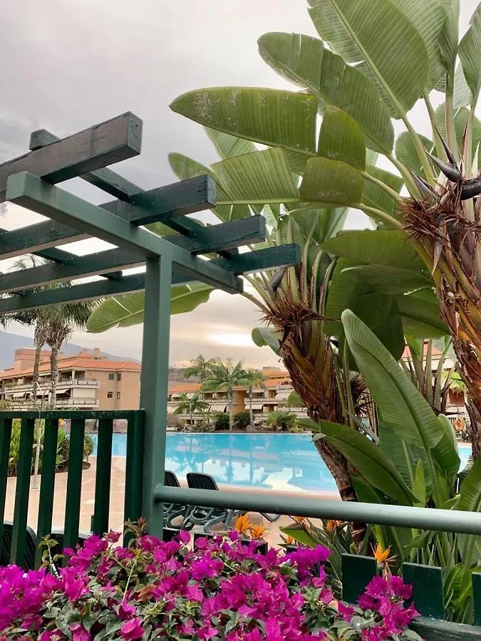 Apartamento Piso Jardines del Teide en el Puerto de la Cruz España